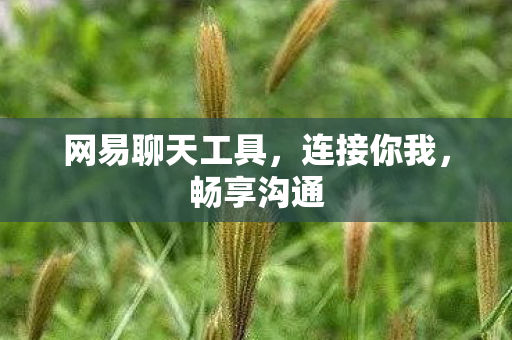 网易聊天工具图片
