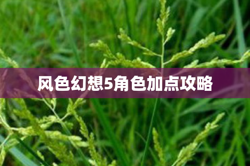 风色幻想5角色加点攻略图片