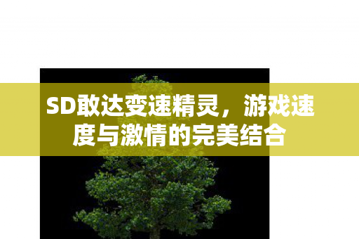游戏速度与激情的完美结合图片