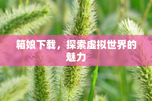 箱娘下载，探索虚拟世界的魅力