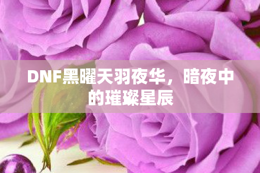 DNF黑曜天羽夜华图片
