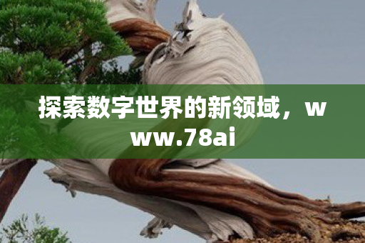 探索数字世界的新领域图片