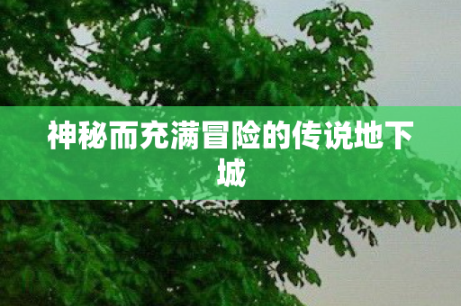 神秘而充满冒险的传说地下城图片