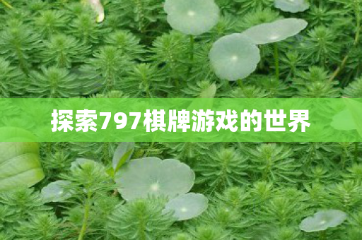 探索797棋牌游戏的世界图片