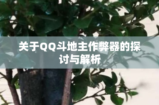 关于QQ斗地主作弊器的探讨与解析图片