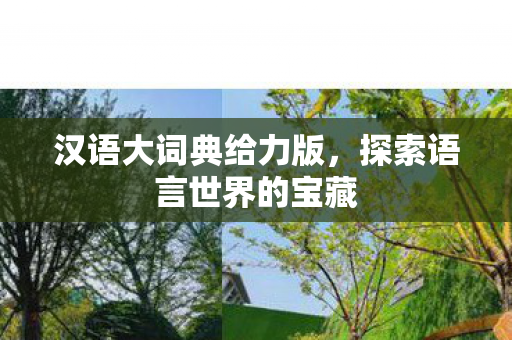 探索语言世界的宝藏图片