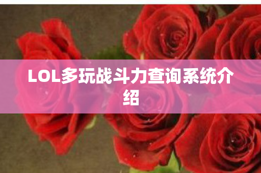 LOL多玩战斗力查询系统介绍图片