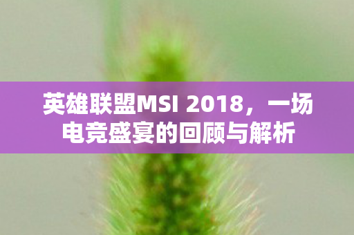 英雄联盟MSI 2018，一场电竞盛宴的回顾与解析