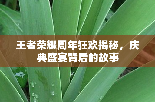 王者荣耀周年狂欢揭秘,庆典盛宴背后的故事 王者荣耀周年狂欢揭秘,庆典盛宴背后的故事