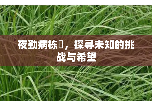 探寻未知的挑战与希望图片
