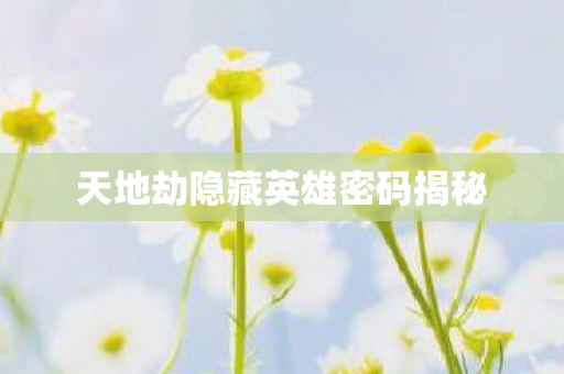 天地劫隐藏英雄密码揭秘