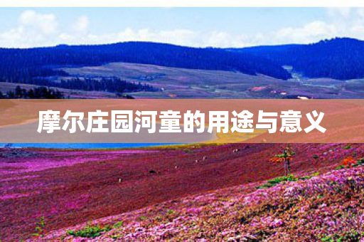 摩尔庄园河童的用途与意义