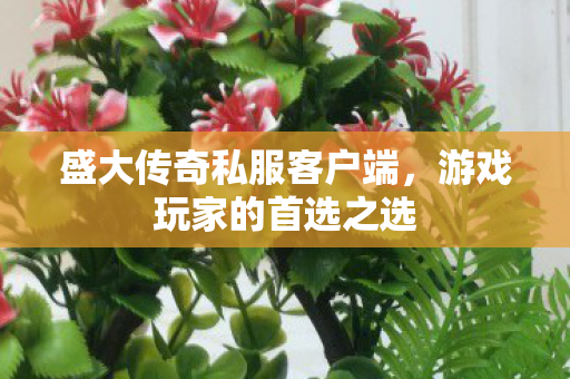 盛大传奇私服客户端图片