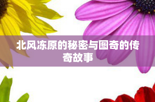 北风冻原的秘密与图奇的传奇故事图片