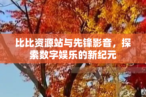 比比资源站与先锋影音图片
