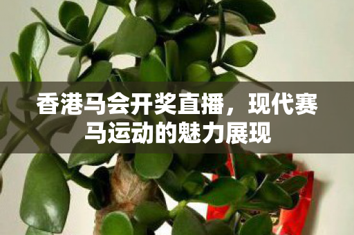 现代赛马运动的魅力展现图片