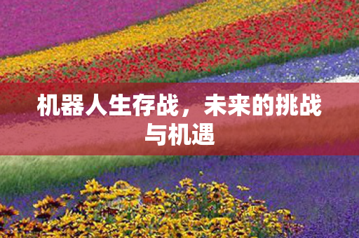 未来的挑战与机遇图片