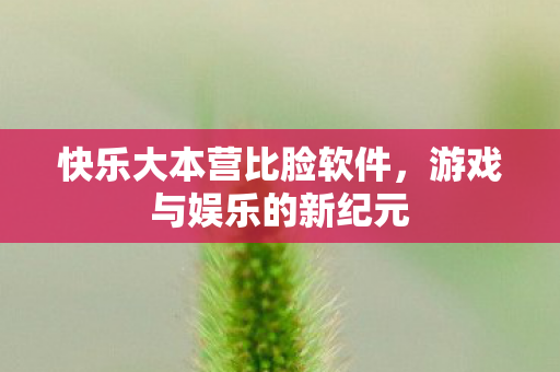 快乐大本营比脸软件图片