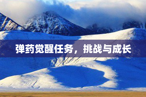 弹药觉醒任务图片