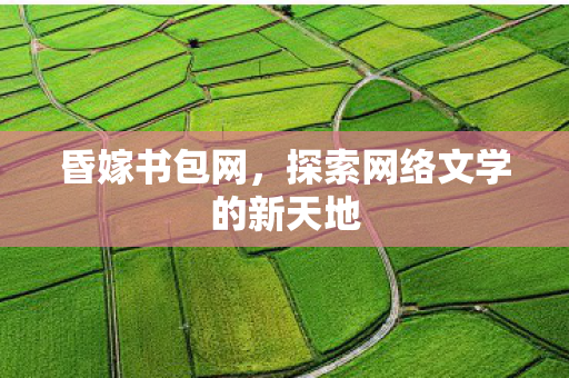 探索网络文学的新天地图片