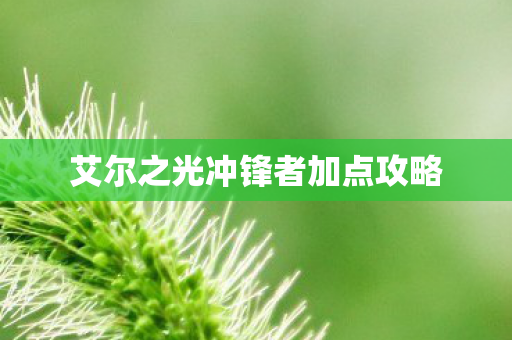艾尔之光冲锋者加点攻略图片
