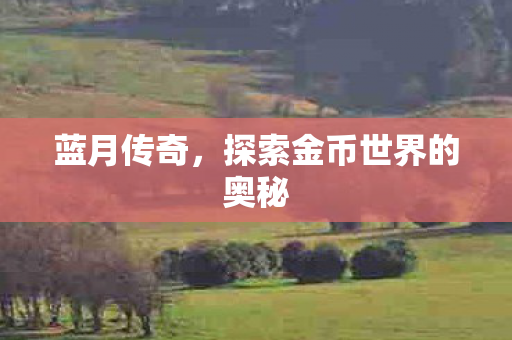探索金币世界的奥秘图片