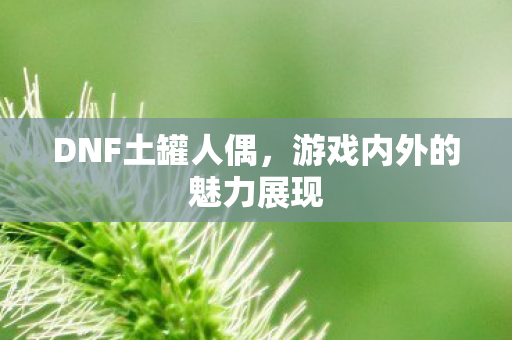 游戏内外的魅力展现图片