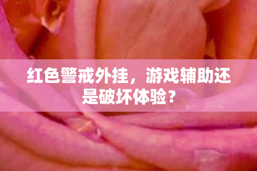 游戏辅助还是破坏体验图片