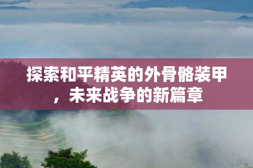 探索和平精英的外骨骼装甲图片