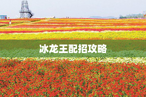 冰龙王配招攻略图片
