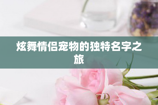 炫舞情侣宠物的独特名字之旅图片