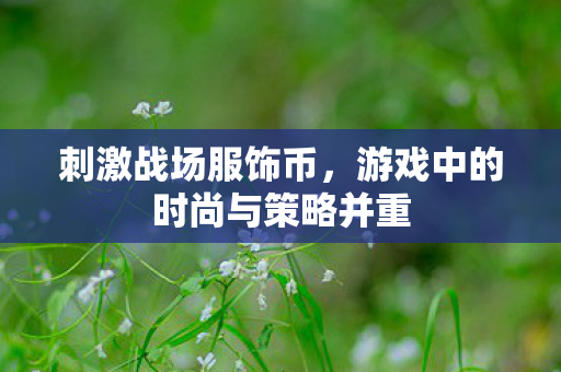 游戏中的时尚与策略并重图片