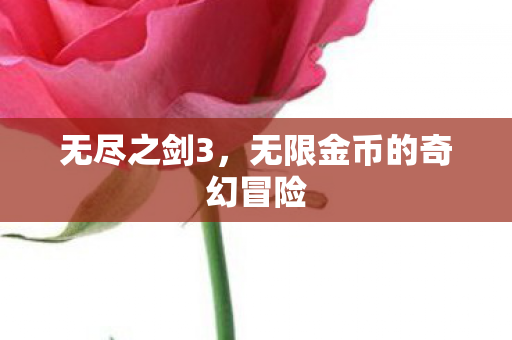无限金币的奇幻冒险图片