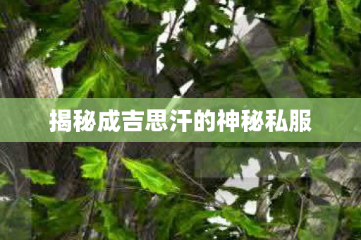 揭秘成吉思汗的神秘私服图片