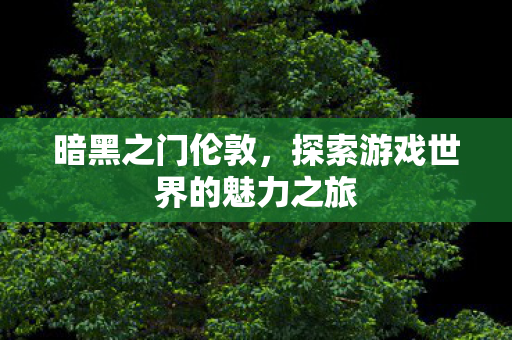 探索游戏世界的魅力之旅图片
