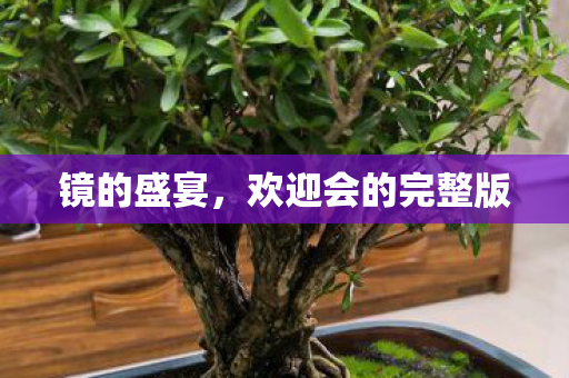 欢迎会的完整版图片