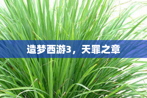 造梦西游3，天罪之章