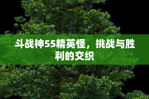 斗战神55精英怪图片