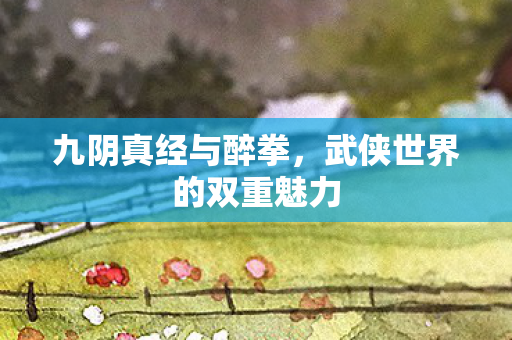 武侠世界的双重魅力图片