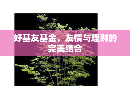 友情与理财的完美结合图片