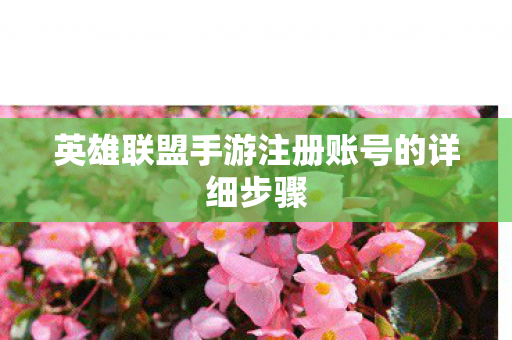 英雄联盟手游注册账号的详细步骤图片