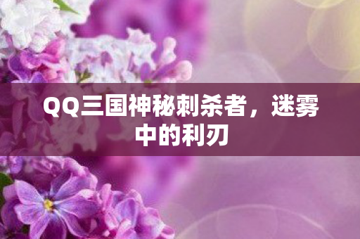 QQ三国神秘刺杀者图片