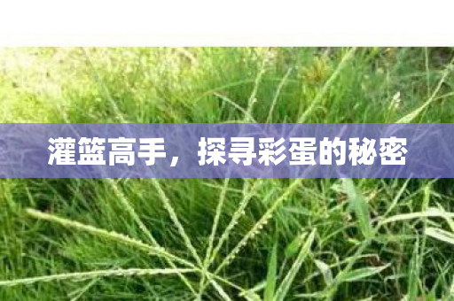探寻彩蛋的秘密图片