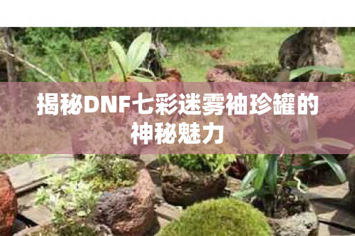 揭秘DNF七彩迷雾袖珍罐的神秘魅力图片