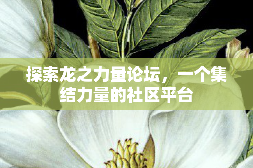 一个集结力量的社区平台图片