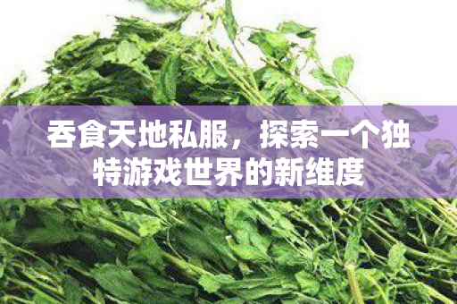 探索一个独特游戏世界的新维度图片