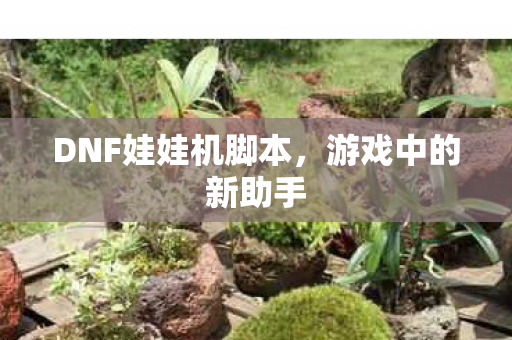 DNF娃娃机脚本图片