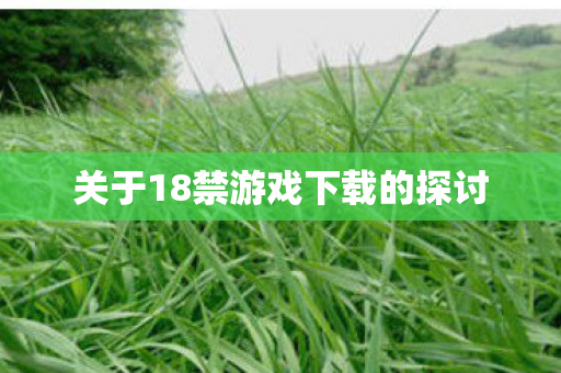 关于18禁游戏下载的探讨图片