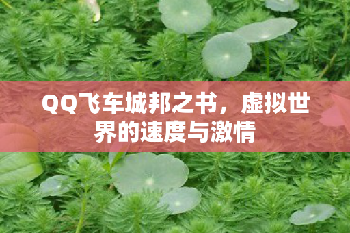 虚拟世界的速度与激情图片