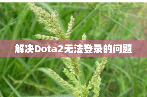 解决Dota2无法登录的问题图片